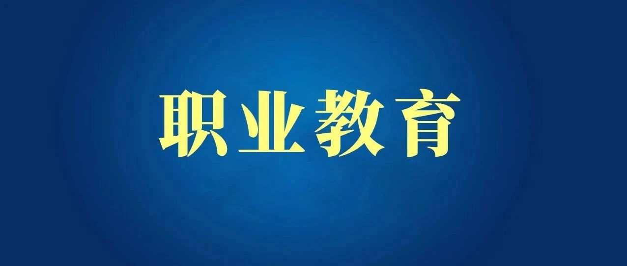 2023职业教育改革与发展报告